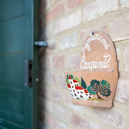 Carpineto Apartamento