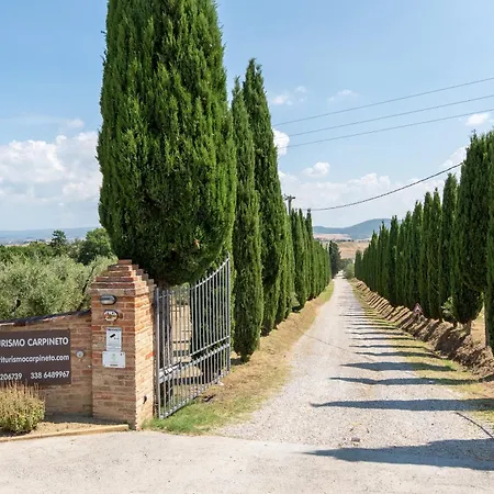Carpineto Apartamento